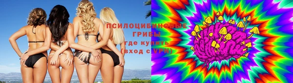 меф Алексин