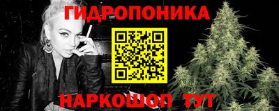стаф Канаш