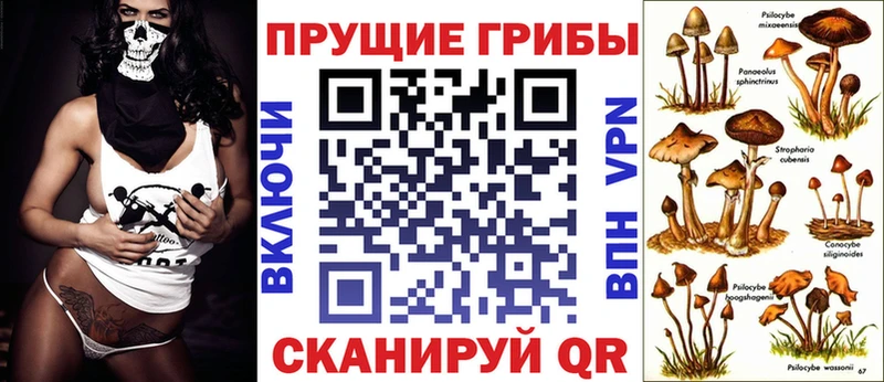 маркетплейс официальный сайт  что такое наркотик  кракен онион  Туймазы  Псилоцибиновые грибы Psilocybine cubensis 