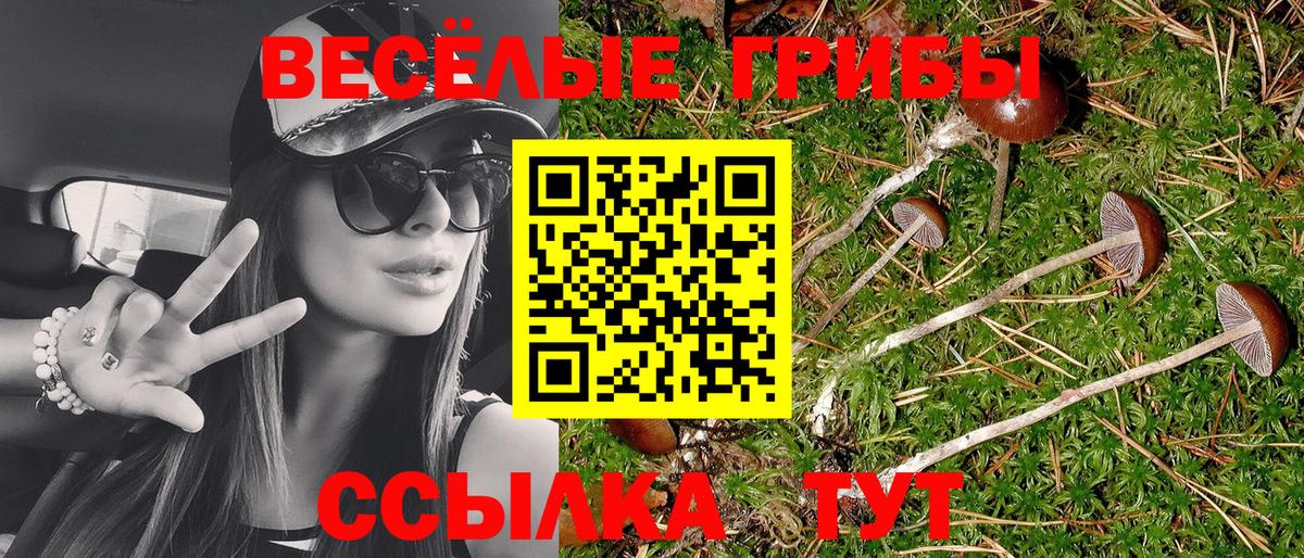 Туймазы  Псилоцибиновые грибы MAGIC MUSHROOMS  Галлюциногенные грибы мухоморы  Вход с VPN 
